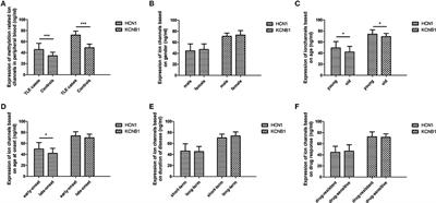 DNA Methylation Signature of Epileptic Encephalopathy-Related Pathogenic Genes Encoding Ion Channels in Temporal Lobe Epilepsy